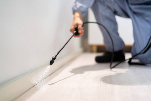 Bed Bug Pre-Treatment Preparation Assessment in Macon