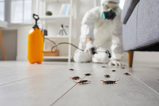 Post-Treatment Bed Bug Interceptor Monitoring in Macon