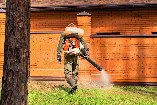 Bed Bug Clearance Verification and Documentation in Macon